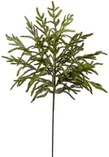 38" Norfolk Pine Spray