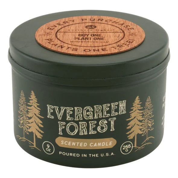 Evergreen Forest Candle