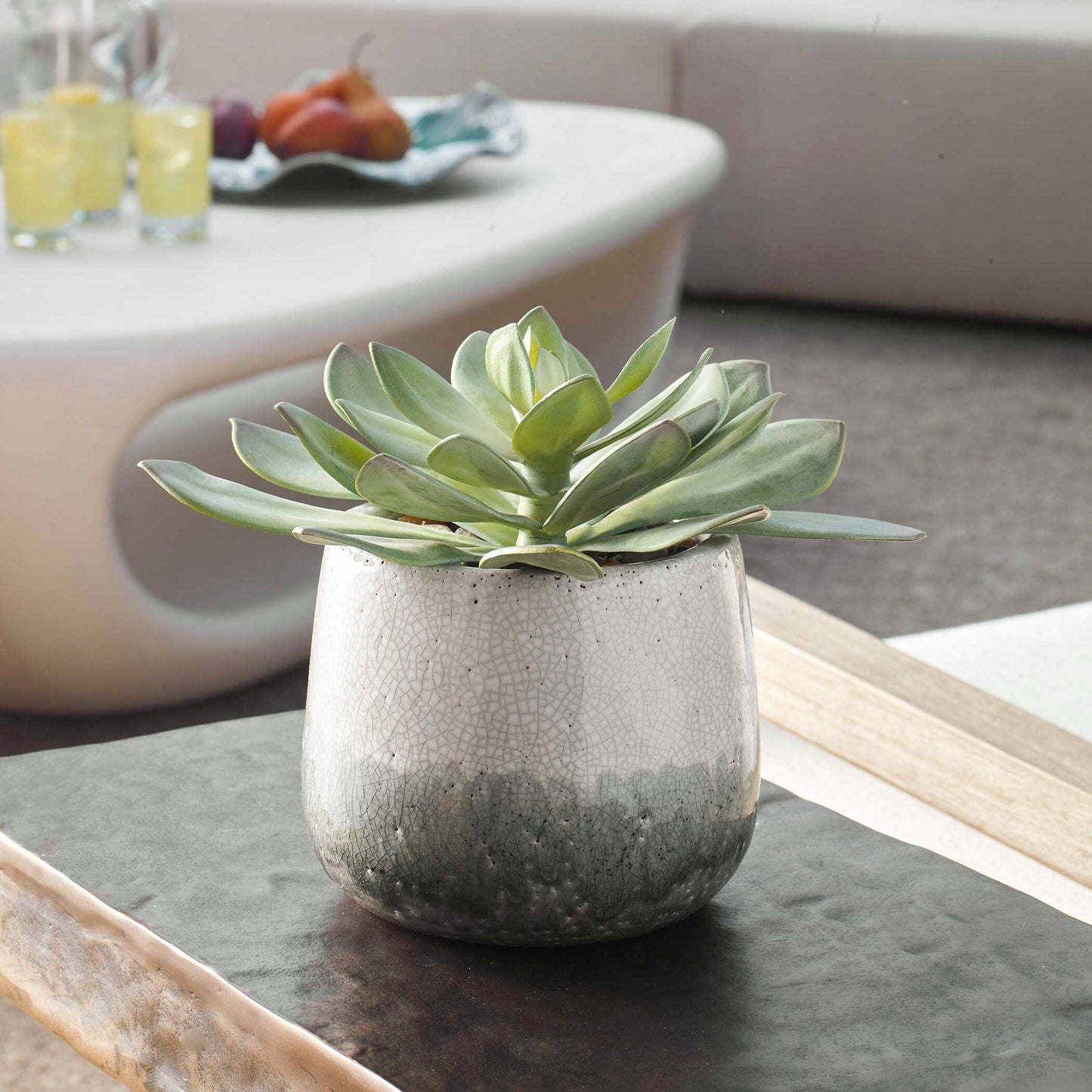 Uttermost Dudleya Gray Outdoor Succulent