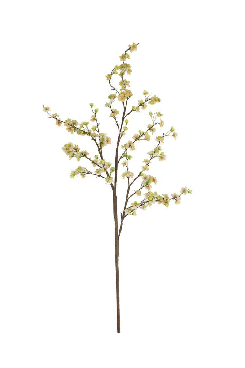 Yellow Blossoms