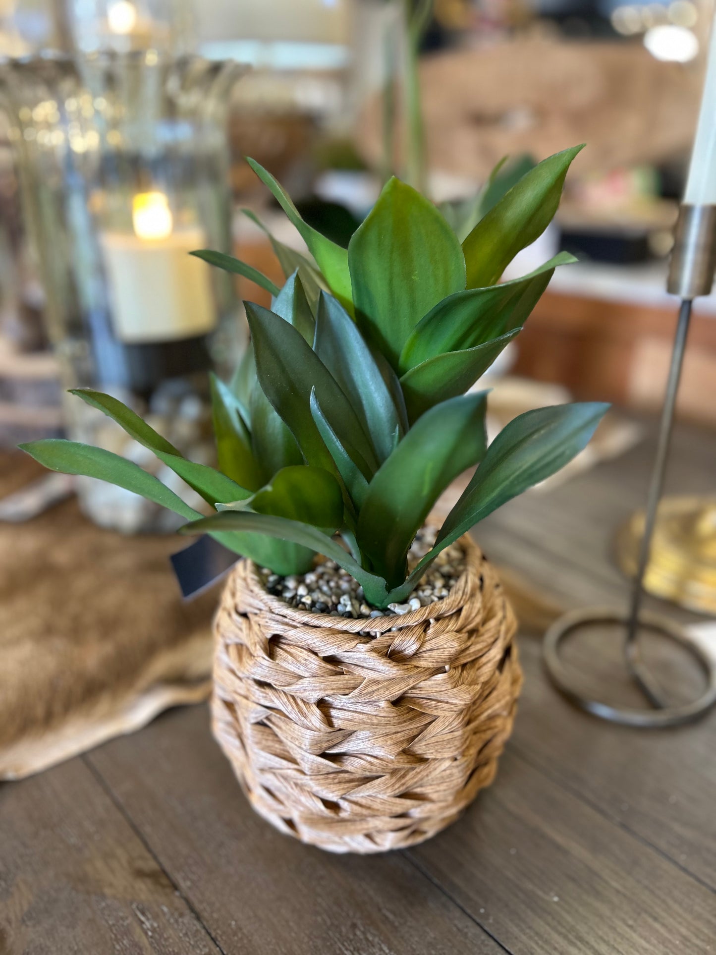 Assorted Foliage in Woven Round Baskets
