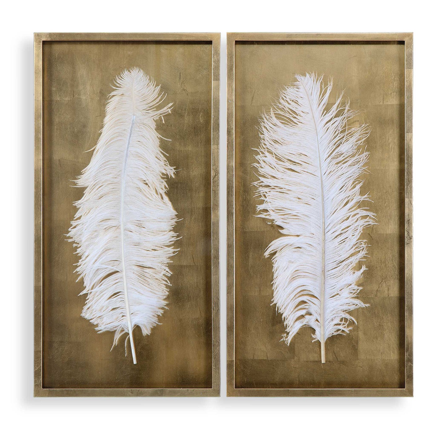 Uttermost White Feathers Gold Shadow Box Set/2