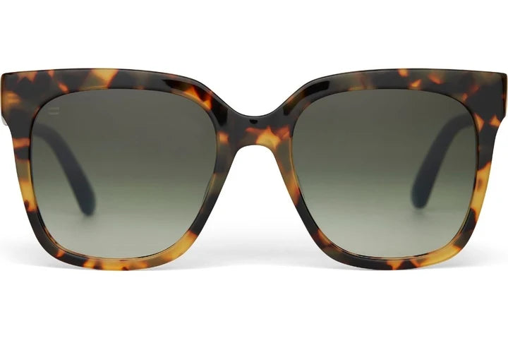 Tom's Sunglasses - The Natasha