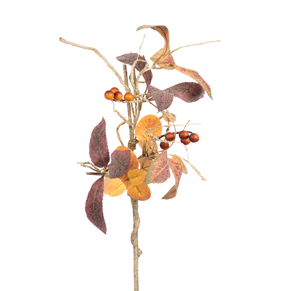 Beech Leaf Twig