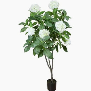 White Hydrangea Tree