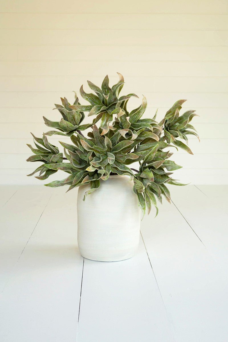 Spiky Green Botanica