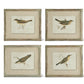 Assorted Bird Prints