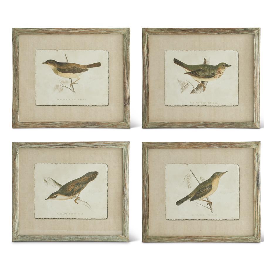 Assorted Bird Prints