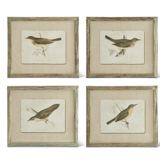 Assorted Bird Prints
