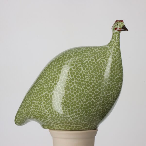French Green Guinea Fowl