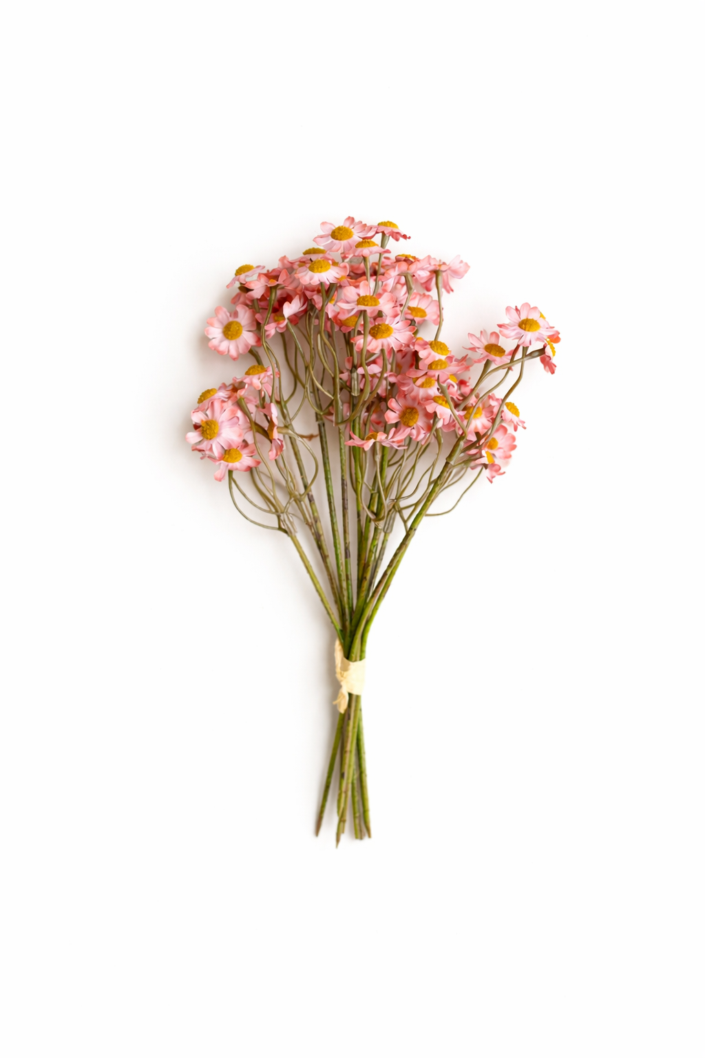 Faux Chamomile Bundle / Blush