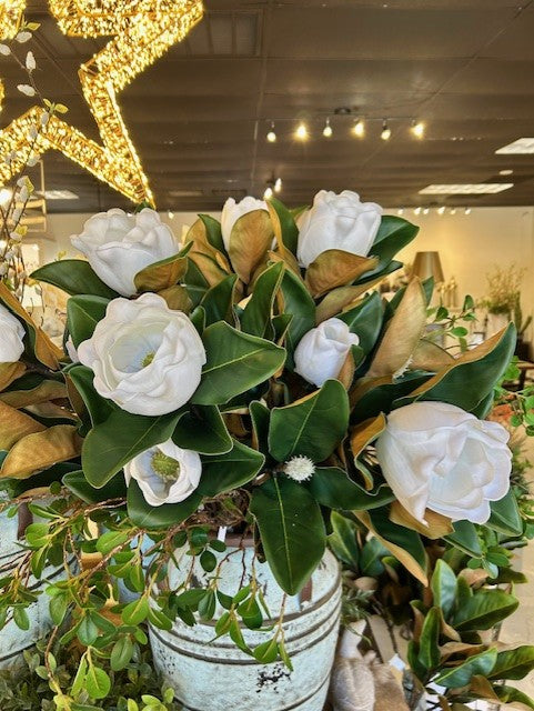 Magnolia Spray