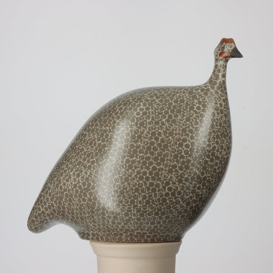 French Guinea Fowl Grey