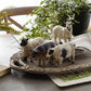 Farmhouse Animals