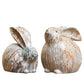 Multi Color Rabbit Set