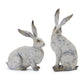 Big Eared Bunnies