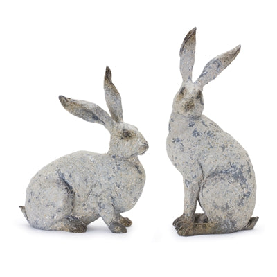 Big Eared Bunnies