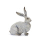 Big Eared Bunnies