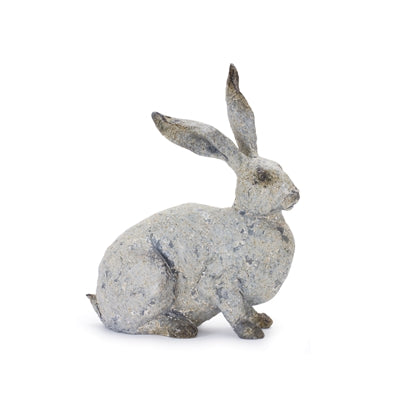 Big Eared Bunnies