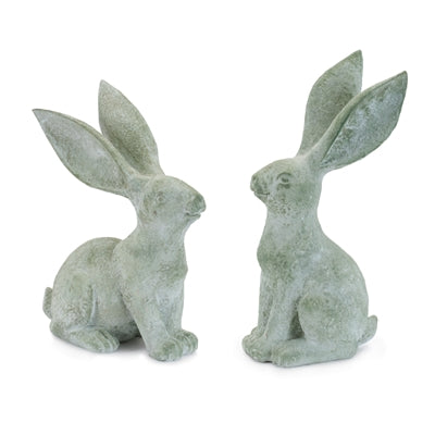 Playful Rabbits