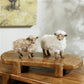Sheep Set of 2