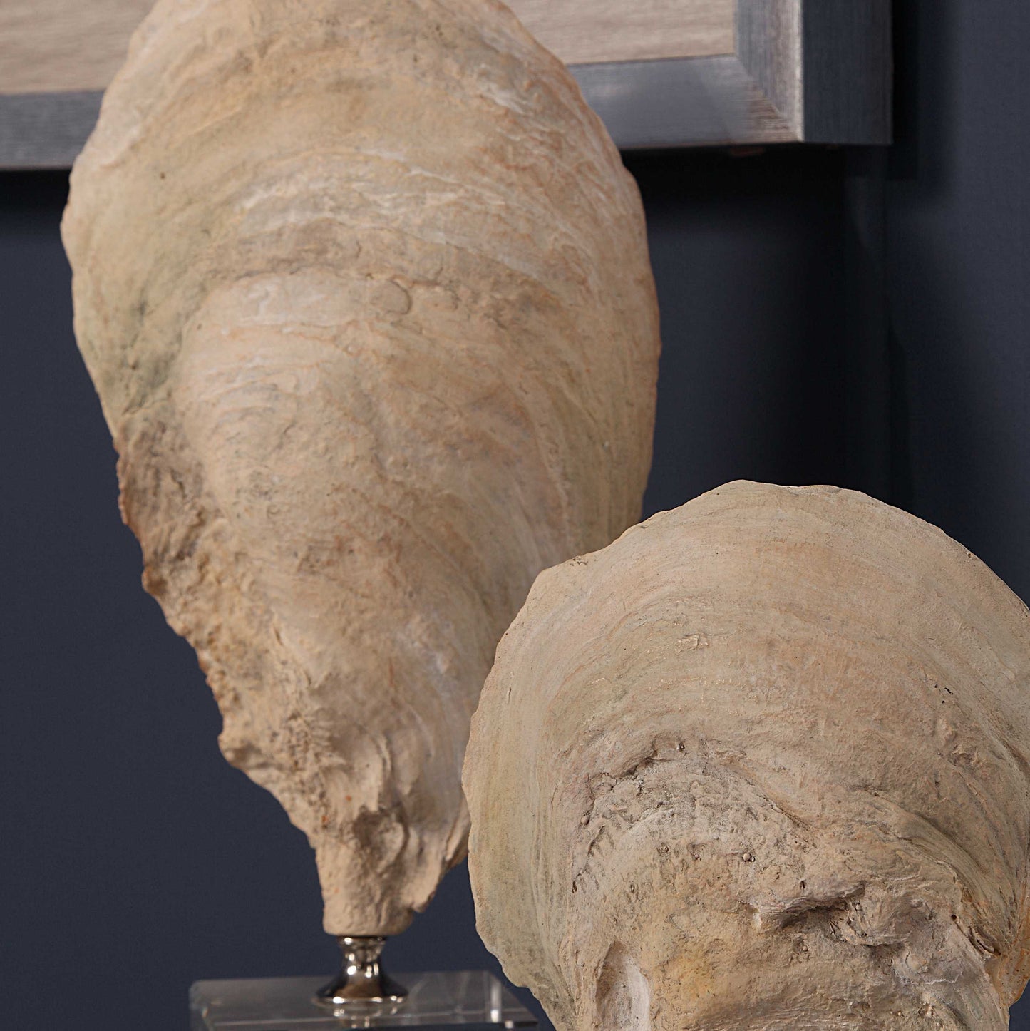 Uttermost Oyster Shell Sculptures Set/2