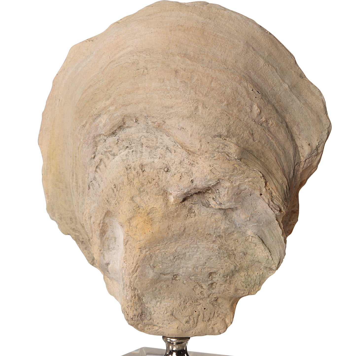 Uttermost Oyster Shell Sculptures Set/2