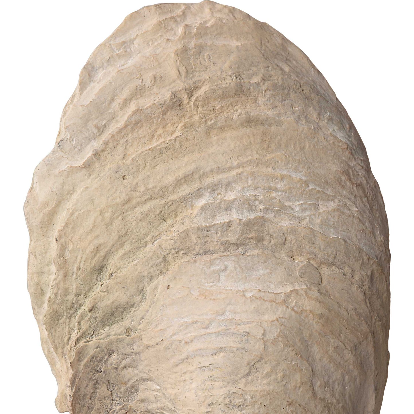 Uttermost Oyster Shell Sculptures Set/2