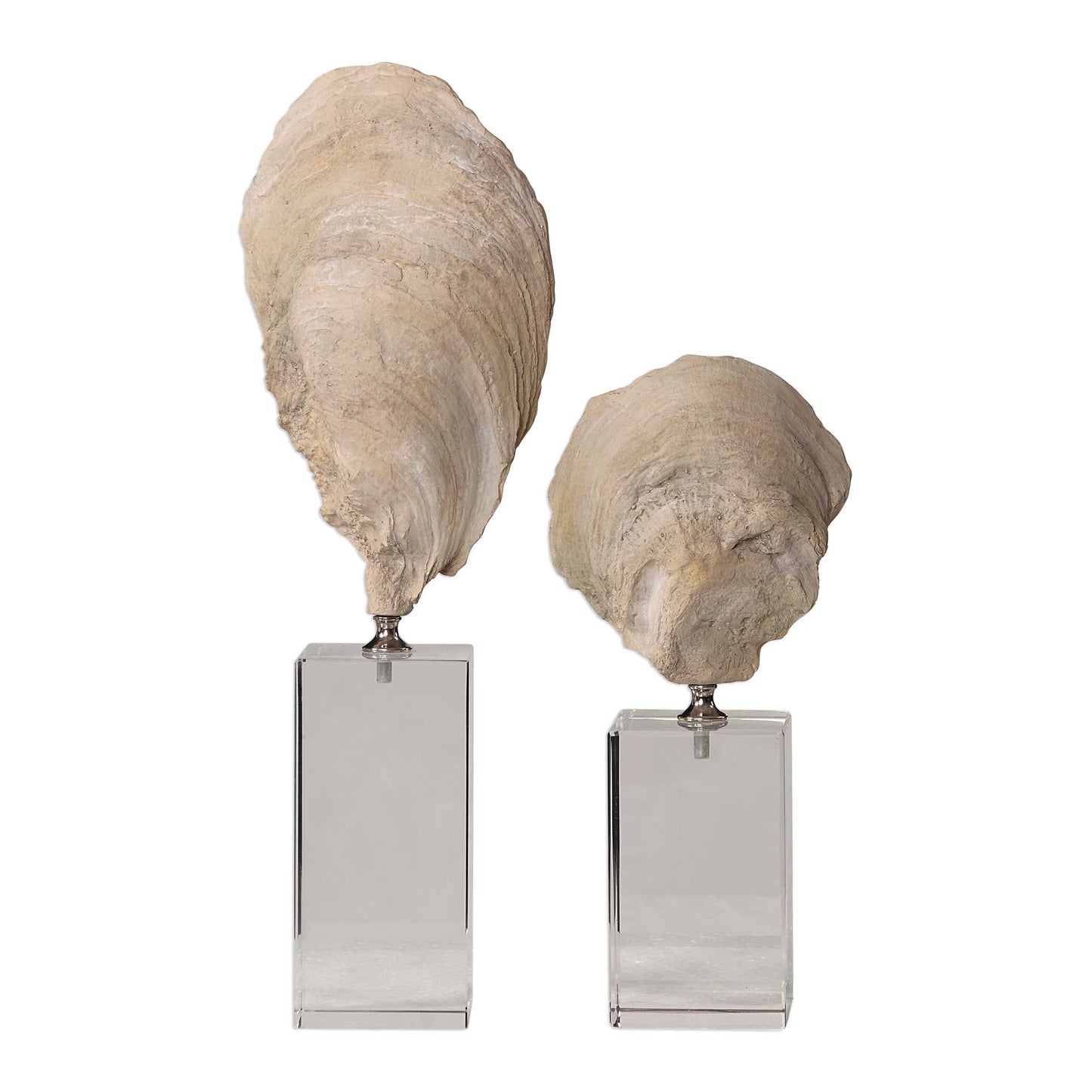 Uttermost Oyster Shell Sculptures Set/2