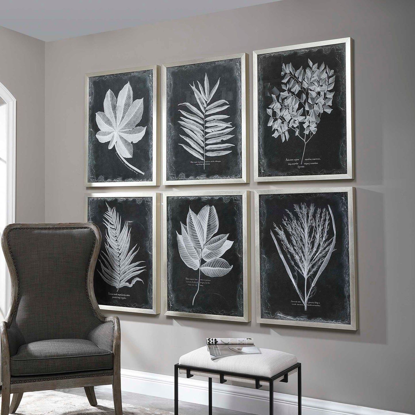Uttermost Foliage Framed Prints Set/6