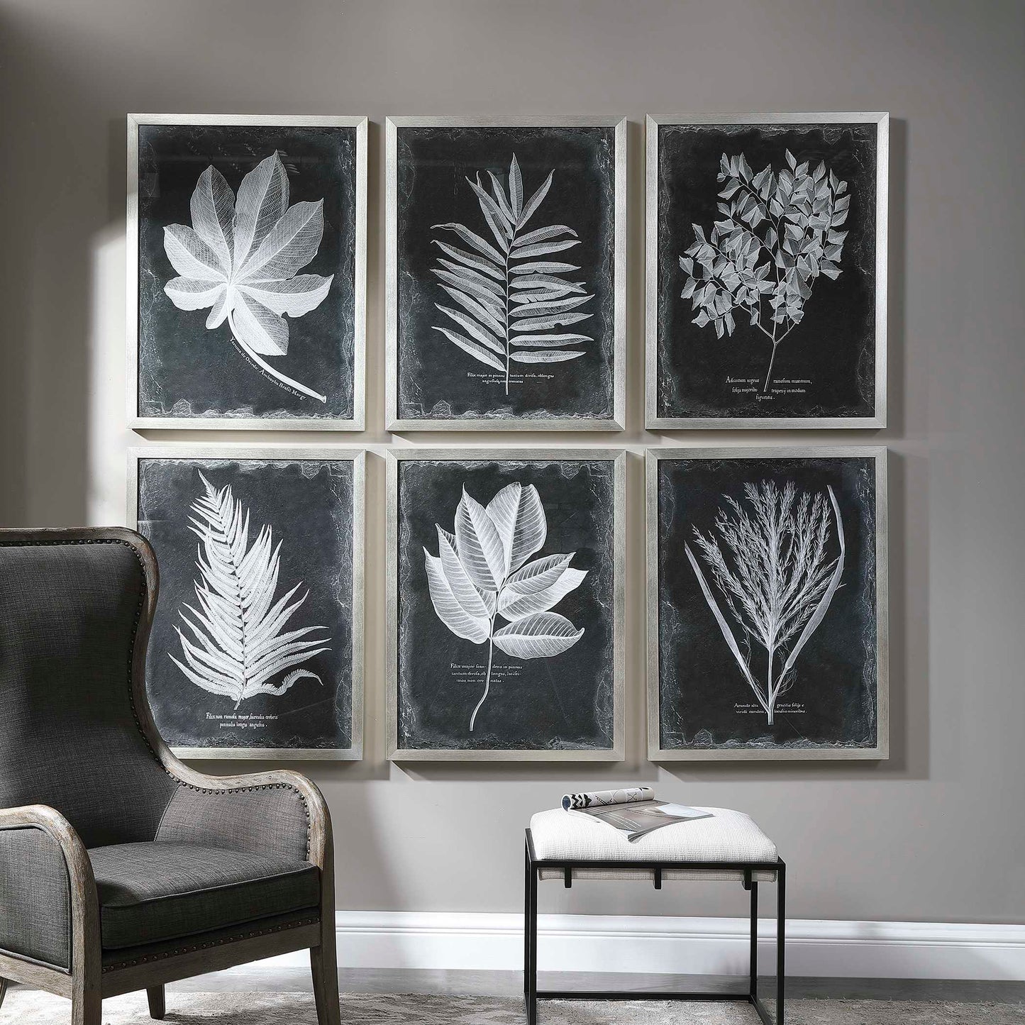 Uttermost Foliage Framed Prints Set/6