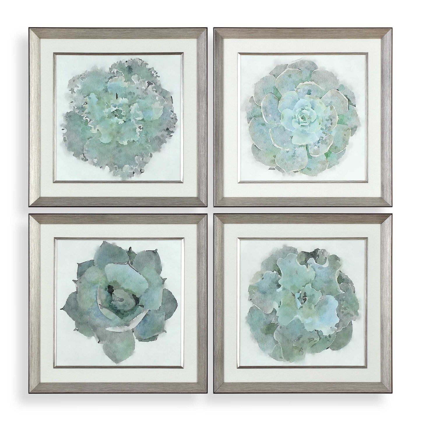 Uttermost Natural Beauties Botanical Prints Set/4