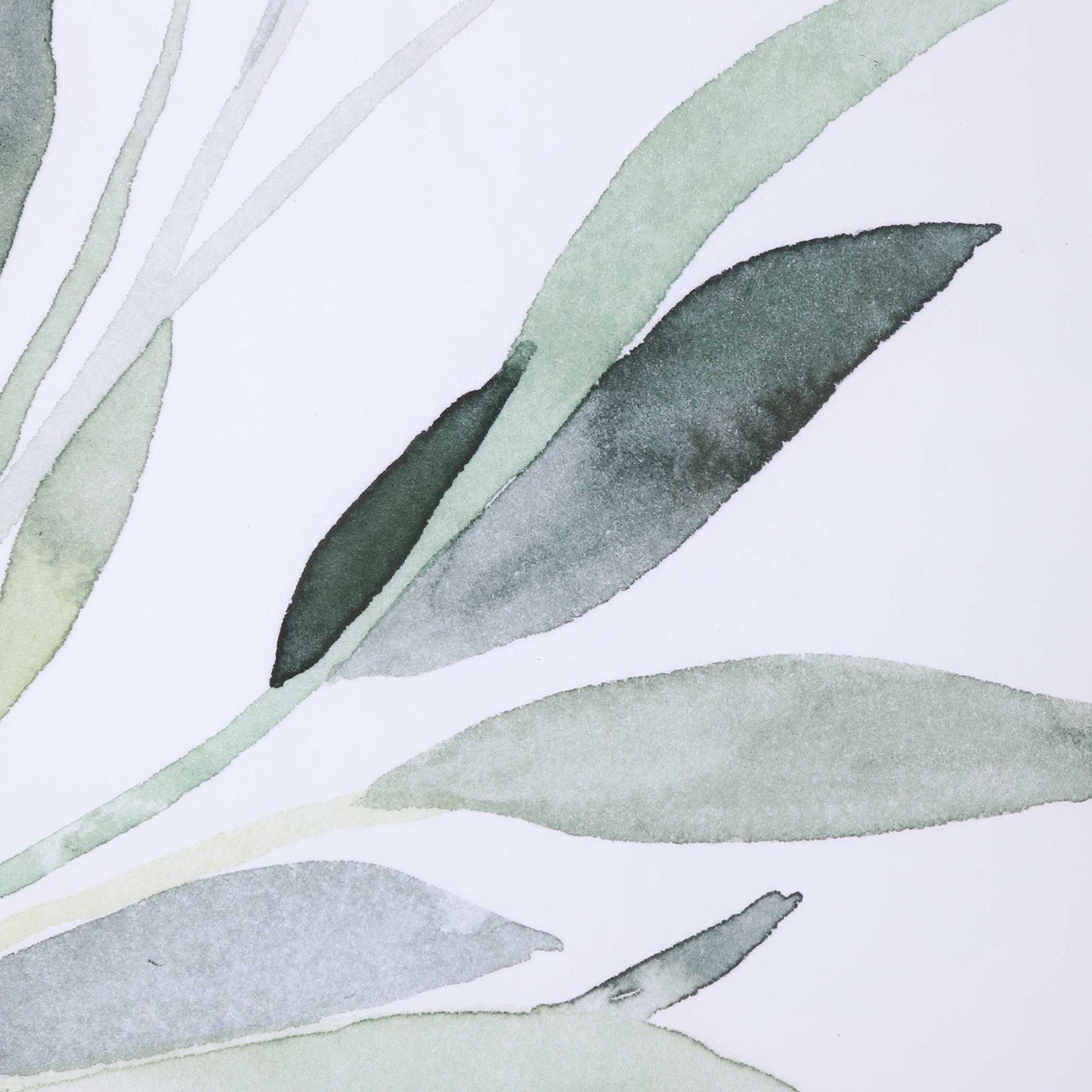 Uttermost Simple Sage Watercolor Prints Set/3