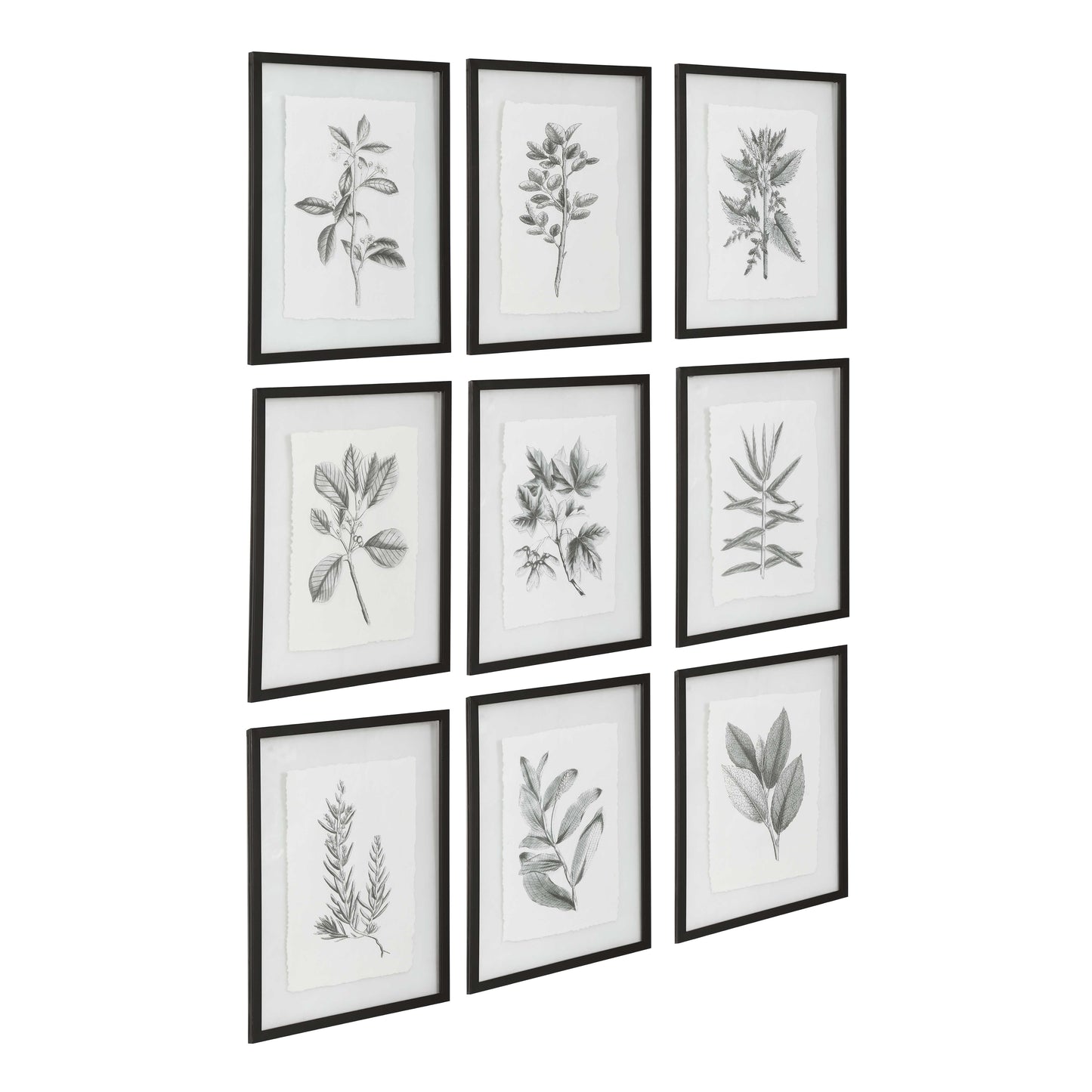 Uttermost Farmhouse Florals Framed Prints Set/9