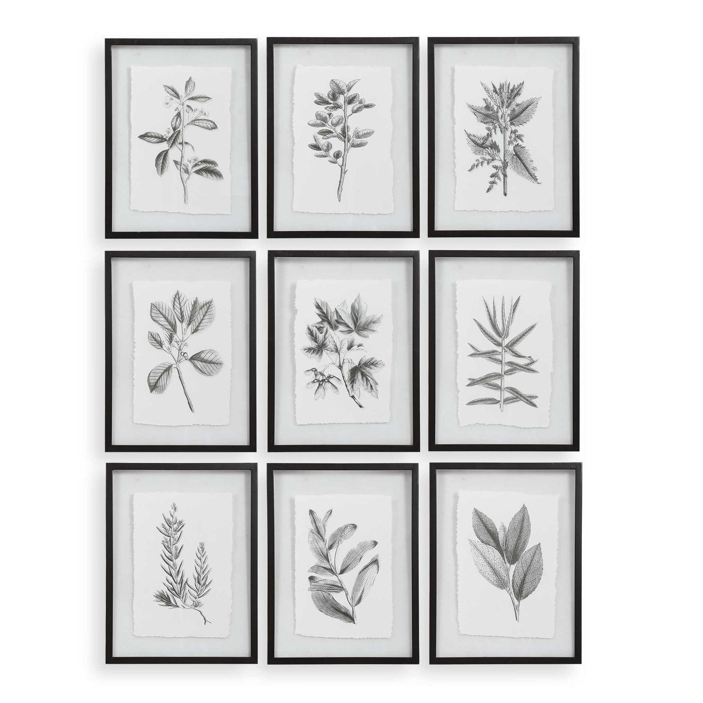 Uttermost Farmhouse Florals Framed Prints Set/9