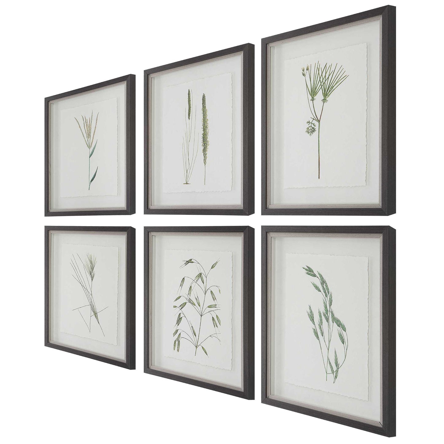 Uttermost Forest Finds Framed Prints Set/6