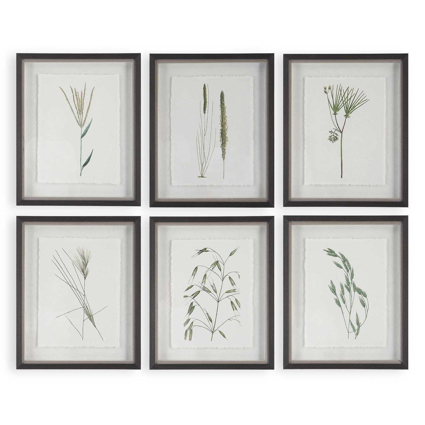 Uttermost Forest Finds Framed Prints Set/6