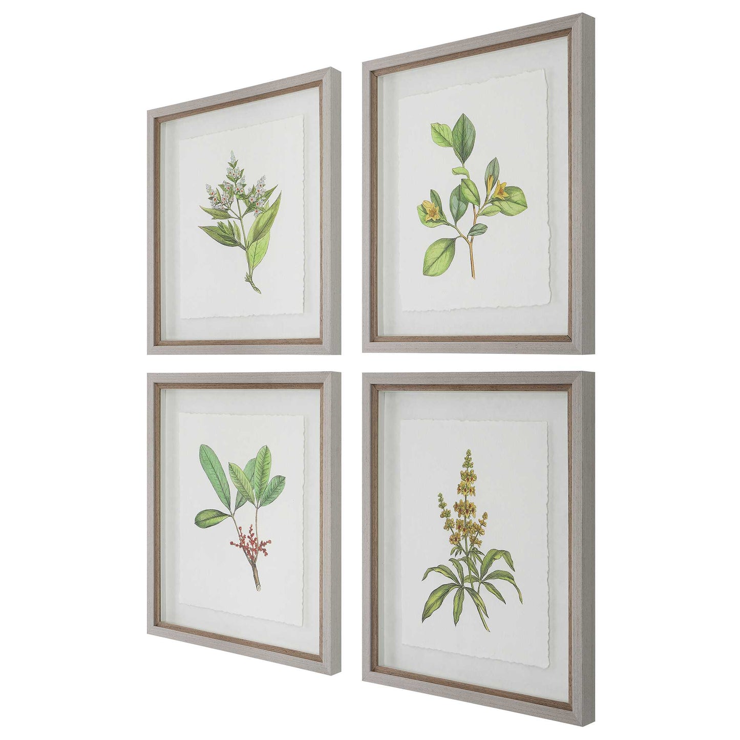 Uttermost Wildflower Study Framed Prints Set/4