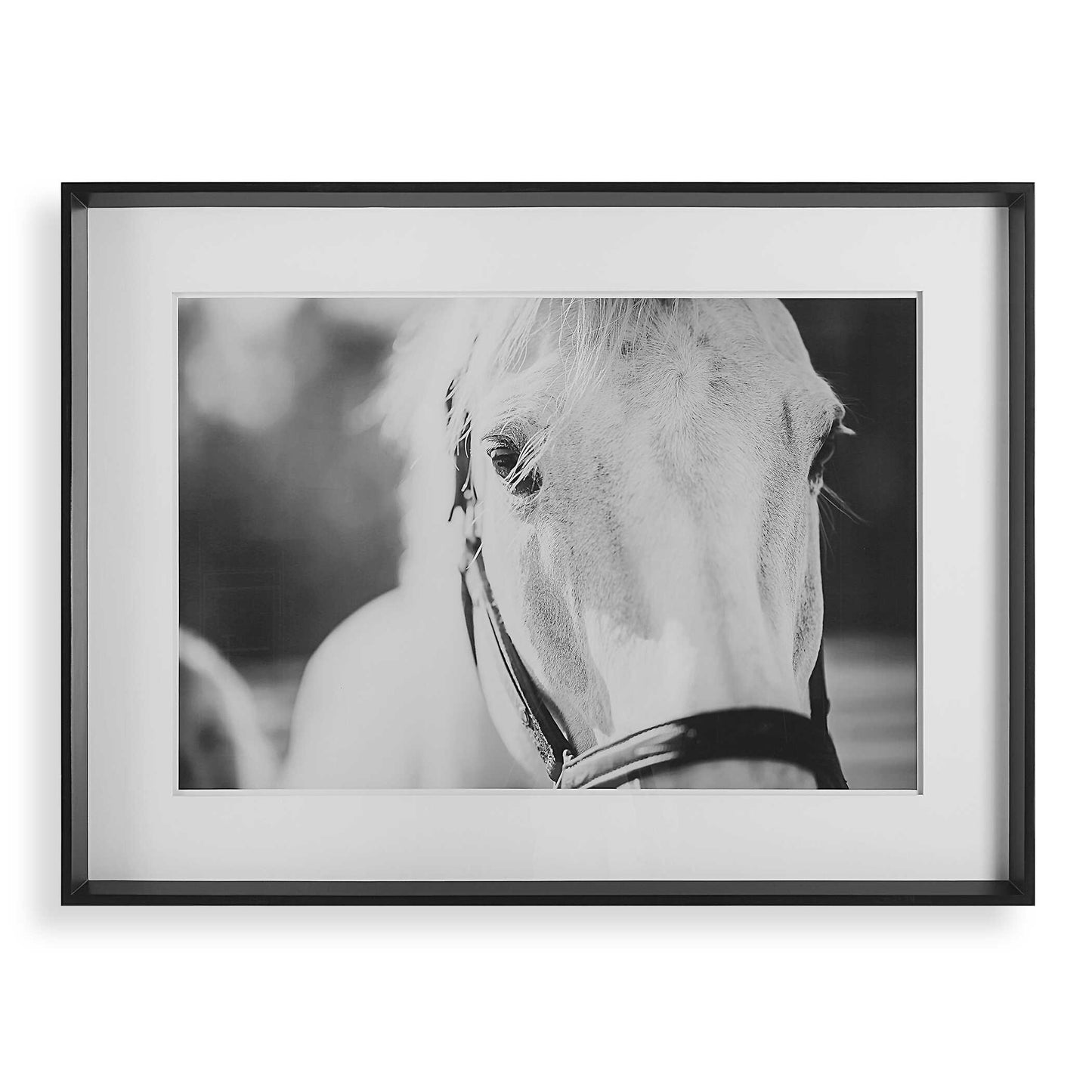 Uttermost Eyes On The Prize Framed Print