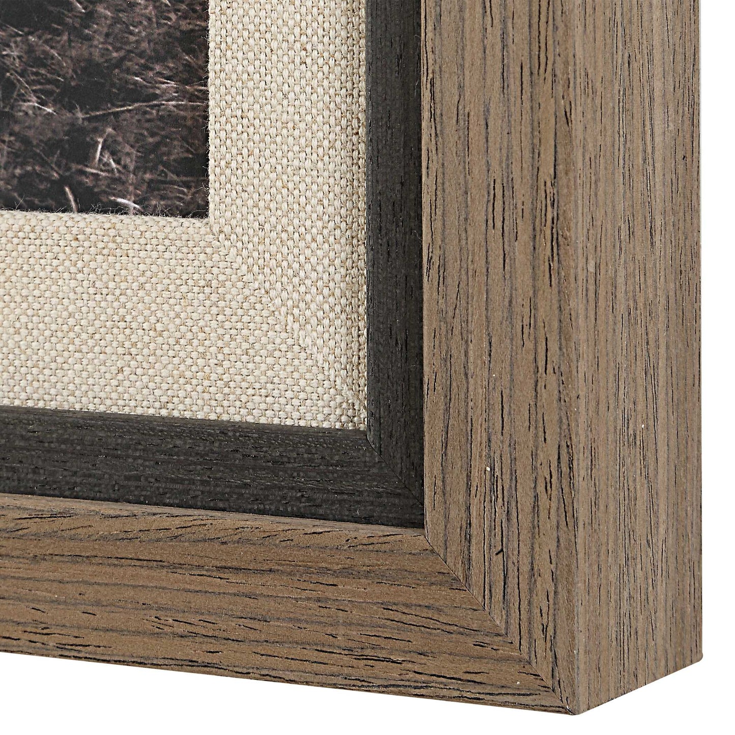 Uttermost King Of The Hill Framed Bovine Print