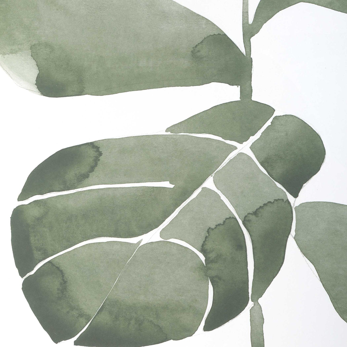 Uttermost Fiddle Head Leaf Botanical Prints Set/4