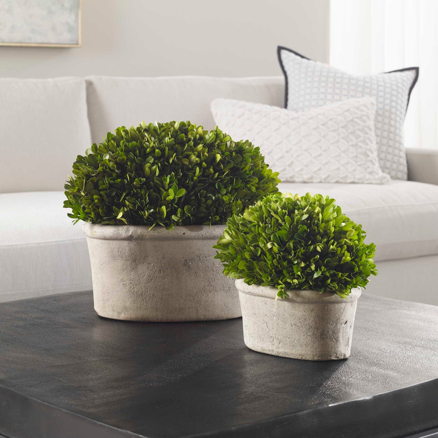 Uttermost Oval Domes Preserved Boxwood Set/2