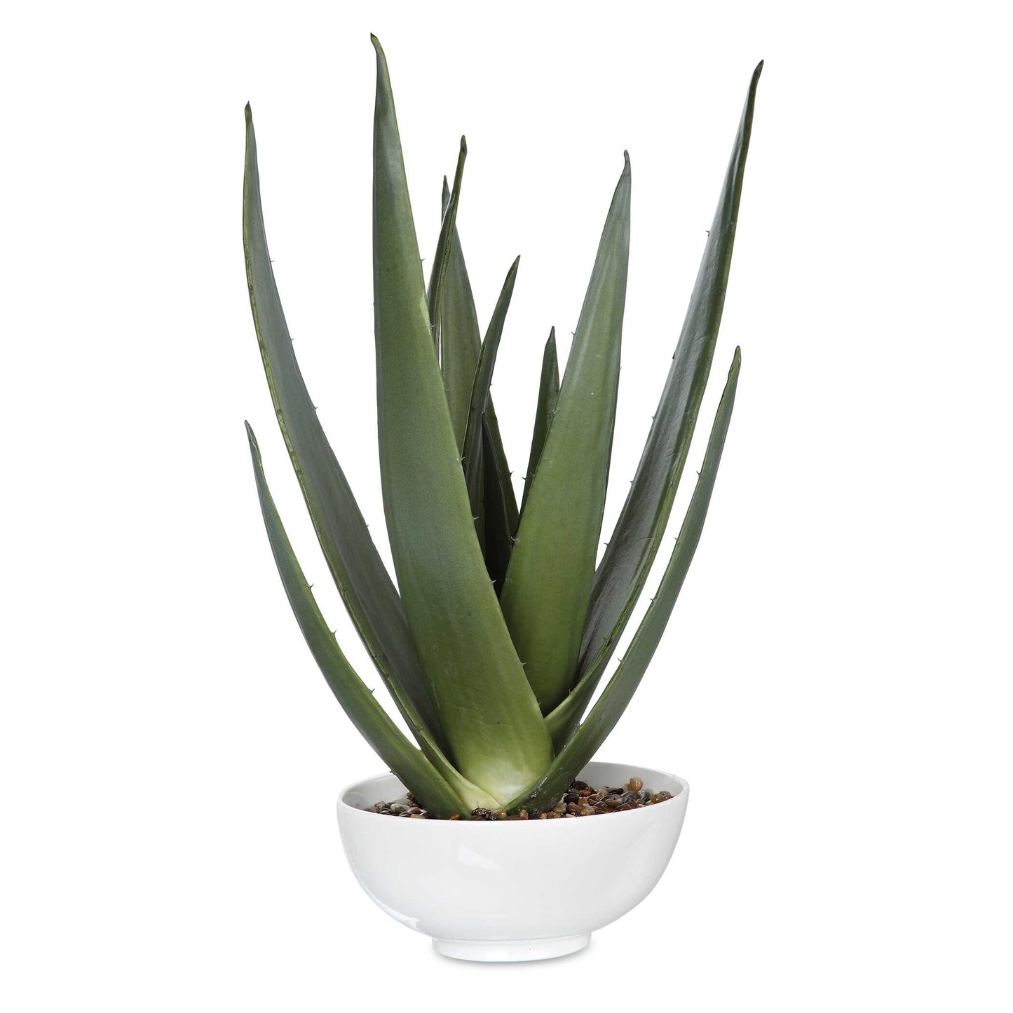 Uttermost Evarado Aloe Planter