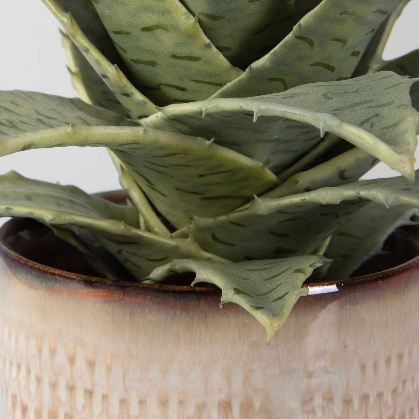 Uttermost Seaside Succulents Set/2