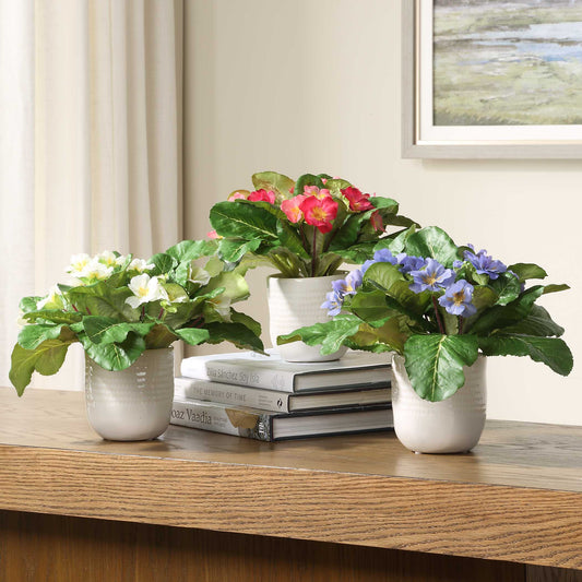 Uttermost Trilogy Primrose Accents In Vases Set/3