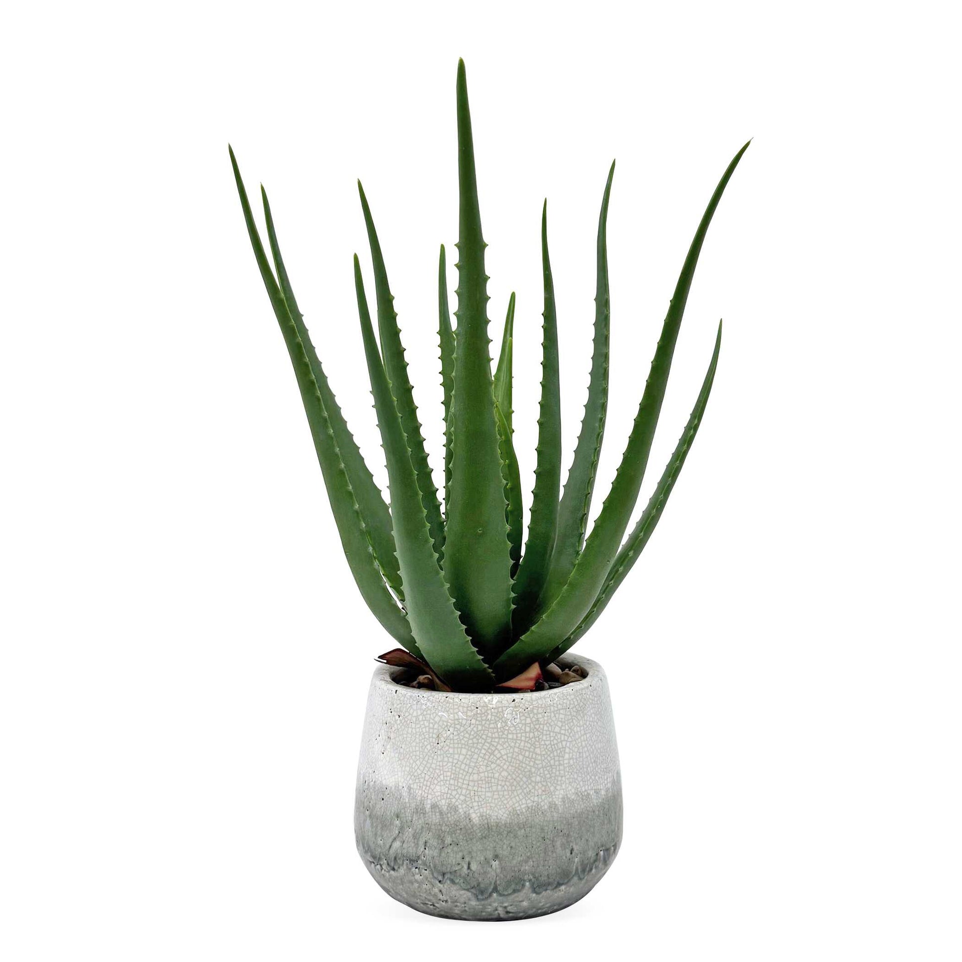 Uttermost Veranda Indoor-Outdoor Aloe Plant - Blue,Green