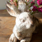 Rabbit Planter