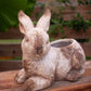 Rabbit Planter