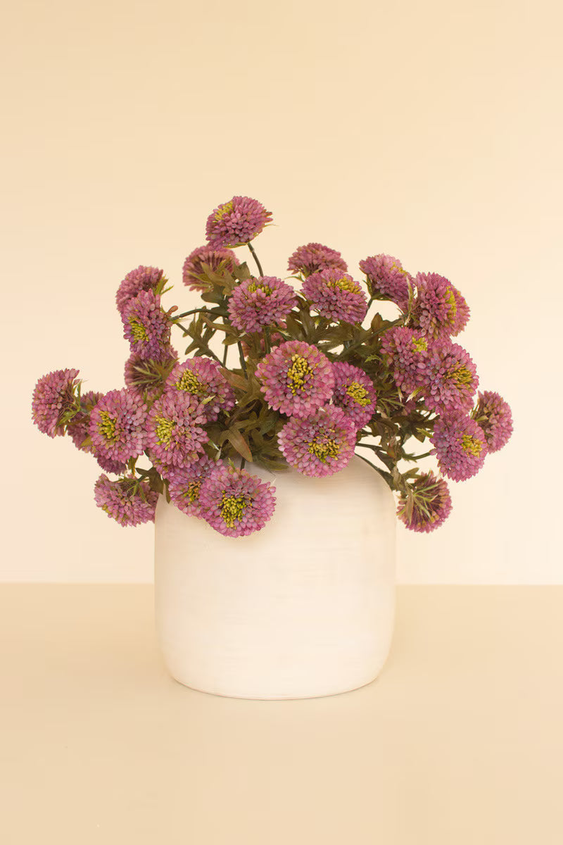 Purple Dalhias