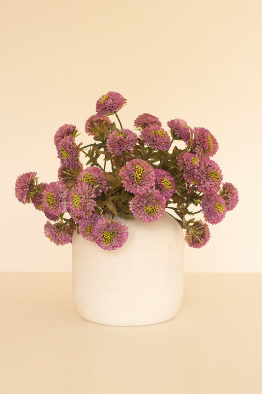 Purple Dalhias